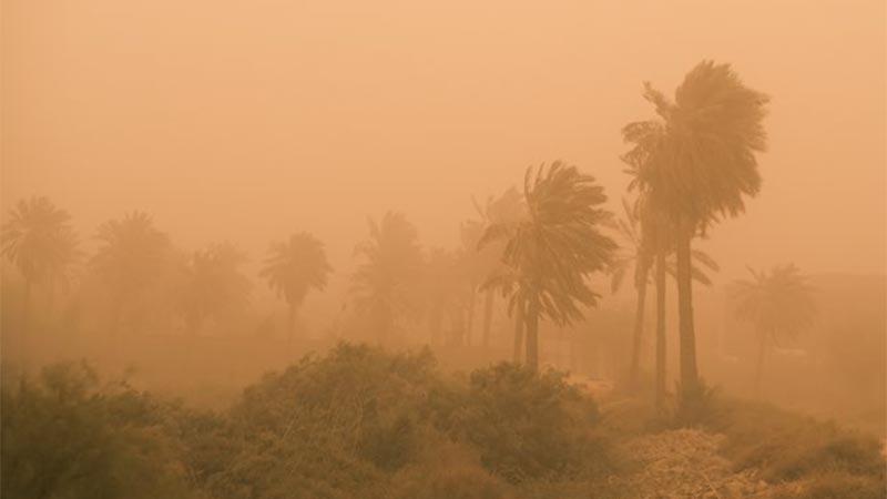 Sandstorm