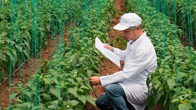 Engineer measuring CO2 in a greenhouse