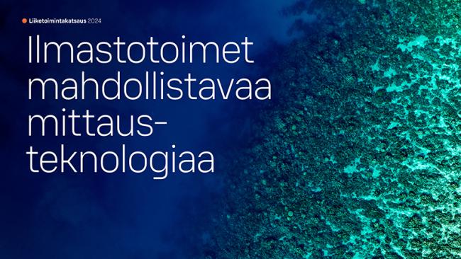 Liiketoimintakatsaus 2024