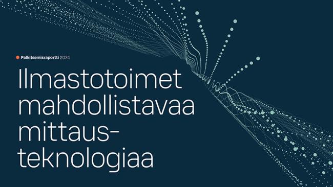 Palkitsemisraportti 2024