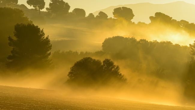 brand_Landscape-with-fog-in-the-cereal-pasture-of-the-Eastern-mountains_Vais_-_LIFT_800x450.jpeg