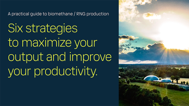 Book cover: eBook Biogas RNG upgrading 2025