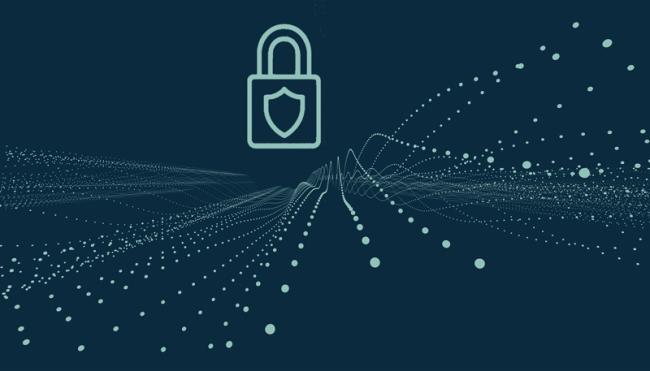 Vaisala system information and security