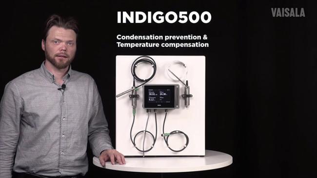 Joni Partanen with Indigo, video thumbnail