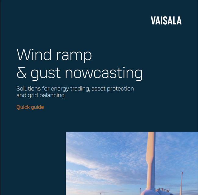 Quick guide nowcasting page