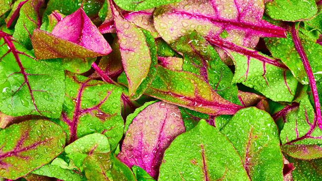 How to measure methane content in biogas