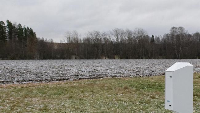 CL61 in a frosty field