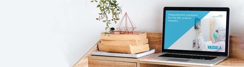 eBook on a laptop screen