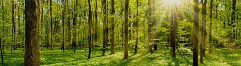 Vaisala AQ Forecaster, support sustainability