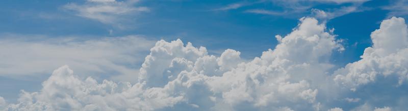 Forward scatter sensor FD70