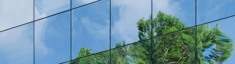 Tree Reflected on a Glass Building Facade
