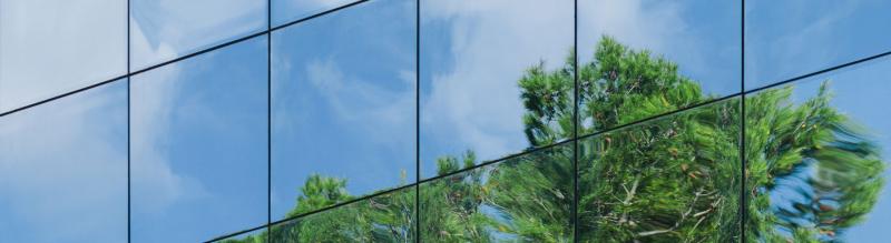 Tree reflected on a glass building facade