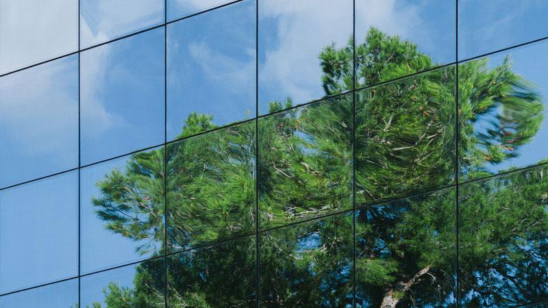 Tree reflected on a glass building facade