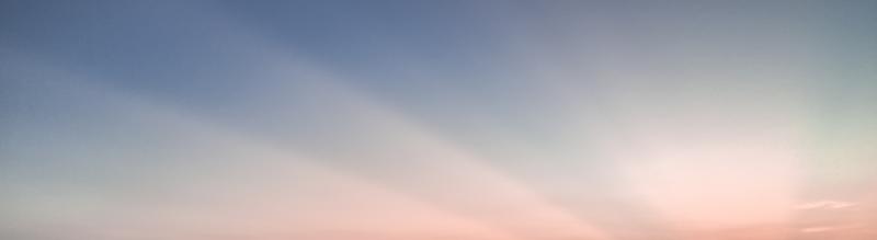 Tilintarkastaja ja tilintarkastajan palkkiot