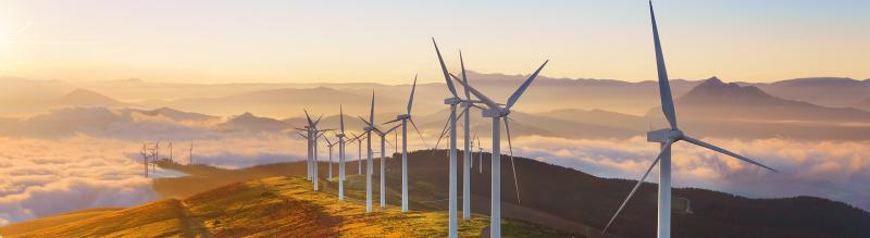 Sustainable business practices