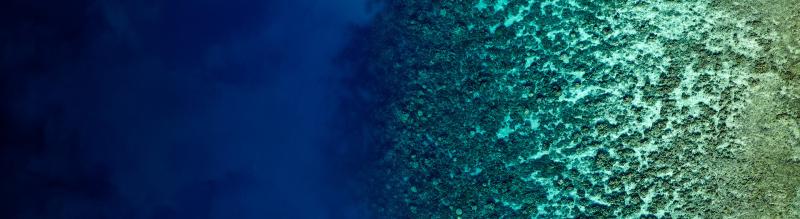 Corporate Coverning Statement Vaisala Aerial view looking down of abstract patterns created by tropical barrier reef in the ocean