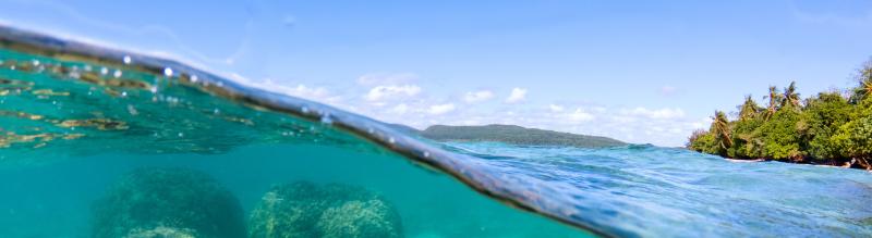 Vaisala Whistleblowing Channel