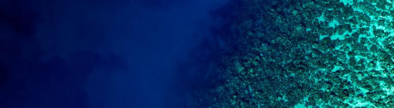 Vaisala Annual Report 2024