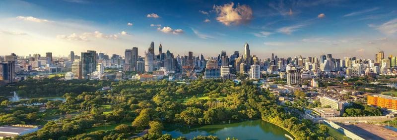 Park, city and blue skies