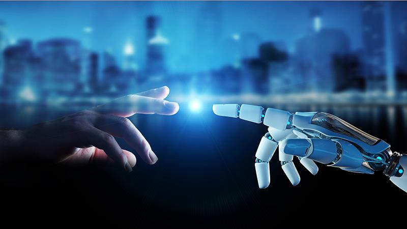 Human hand and robot hand