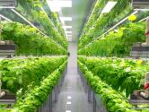 Vertical farming facility