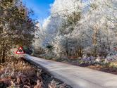Snowy road with ice warning sign