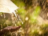 Woman hand with umbrella in the rain in green nature background