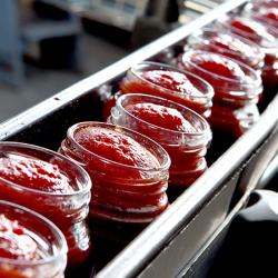 Tomato paste production