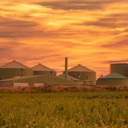 Biogas