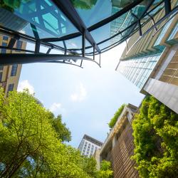 Greenery and finance buildings