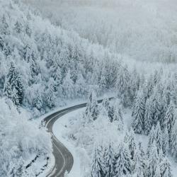 Norway winter road