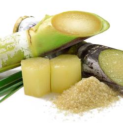 Cane and sugar