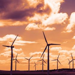 Turbulent wind farm at sunset