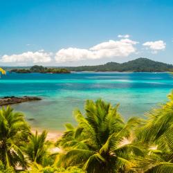 WMO RA IV Hurricane Committee