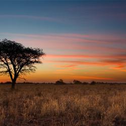 GBON and Vaisala: Taking every measure to enable weather resilience for all