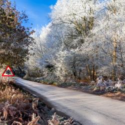 Snowy road with ice warning sign