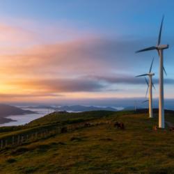 Wind farm at sunrise, Oiz, Spain.