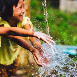 Sourcing and Suppliers