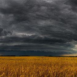 Dark cloudy sky above a field