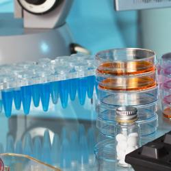 Laboratory workbench pharmacy