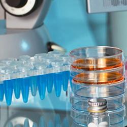 Laboratory workbench pharmacy