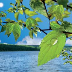 Environmental Impacts/Why Measure CO2