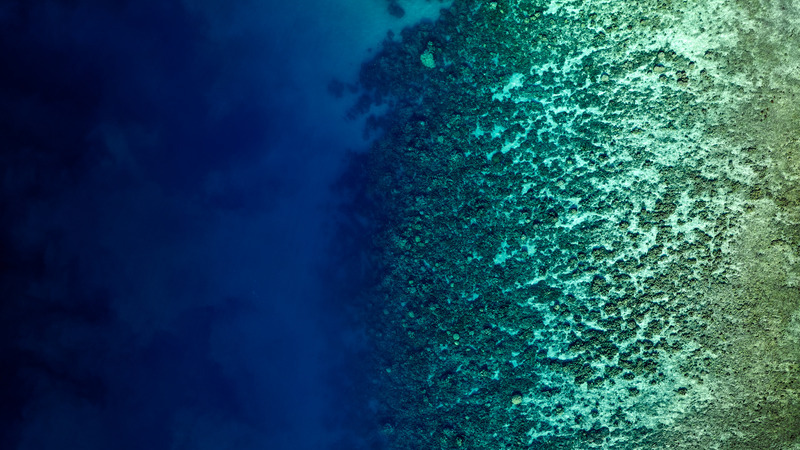 Aerial-view-looking-down-of-abstract-patterns-created-by-tropical-barrier-reef-in-the-ocean