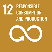SDG 12 Responsible production