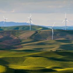Wind turbines in a field scenery